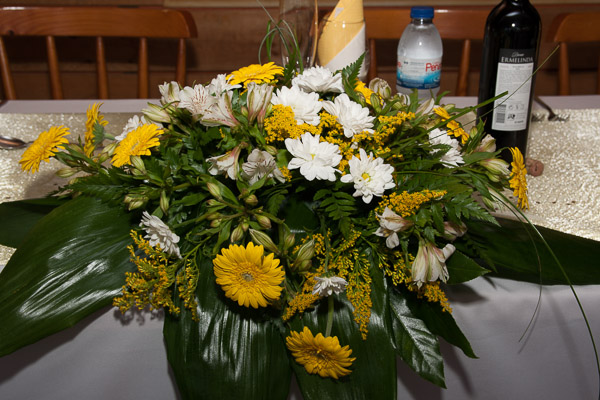 Casamento Social