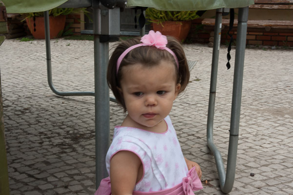 Casamento Social