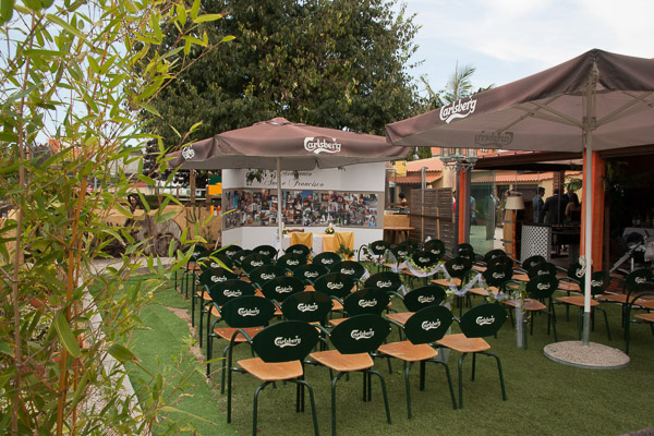 Casamento Social