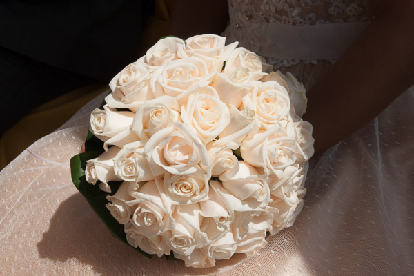 Casamento Social