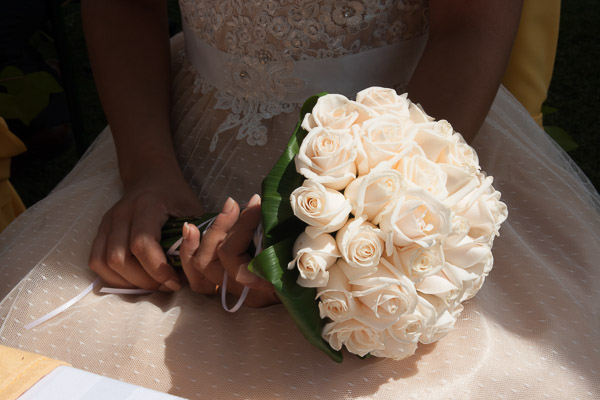 Casamento Social