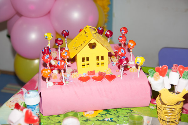 Casamento Social