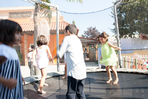 Casamento Social